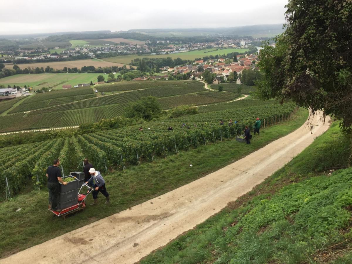 Villa L'Insouciance En Champagne Vincelles  Exteriör bild
