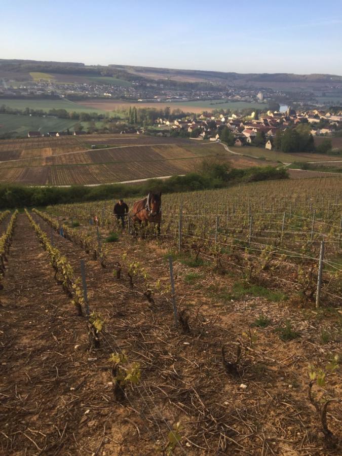 Villa L'Insouciance En Champagne Vincelles  Exteriör bild